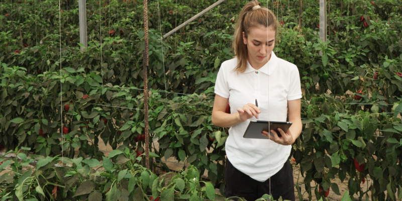 Modern farming in action 