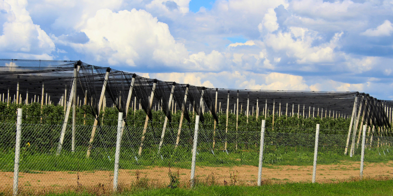 Traditional farming net vs Banner mesh solutions for agriculture
