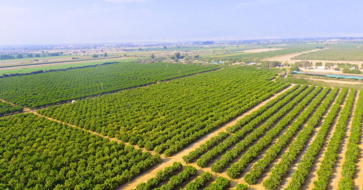 Agricultural land marketing