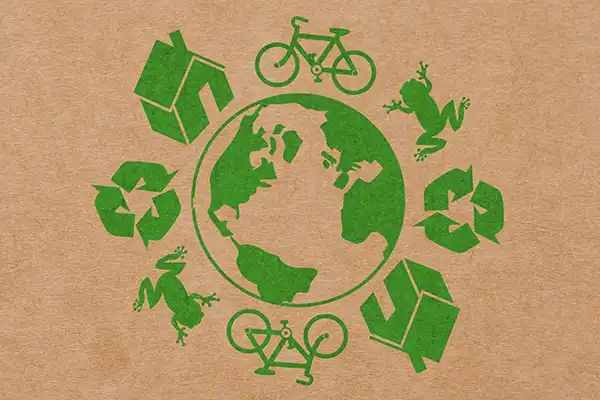 EcoBoard