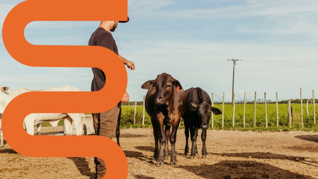 Farmer with livestock printed signage